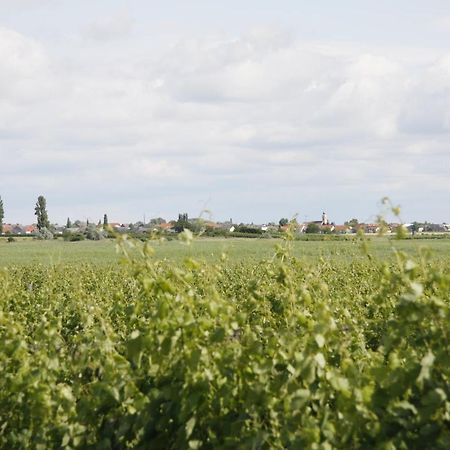 Pension & Weingut Storchenblick 일미츠 외부 사진