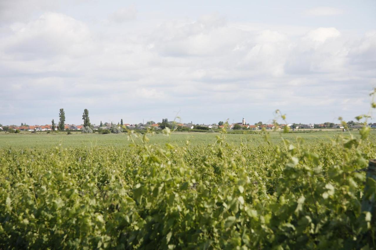 Pension & Weingut Storchenblick 일미츠 외부 사진